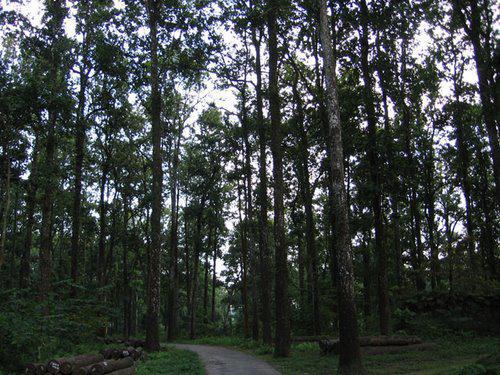 Sukna Forest Range