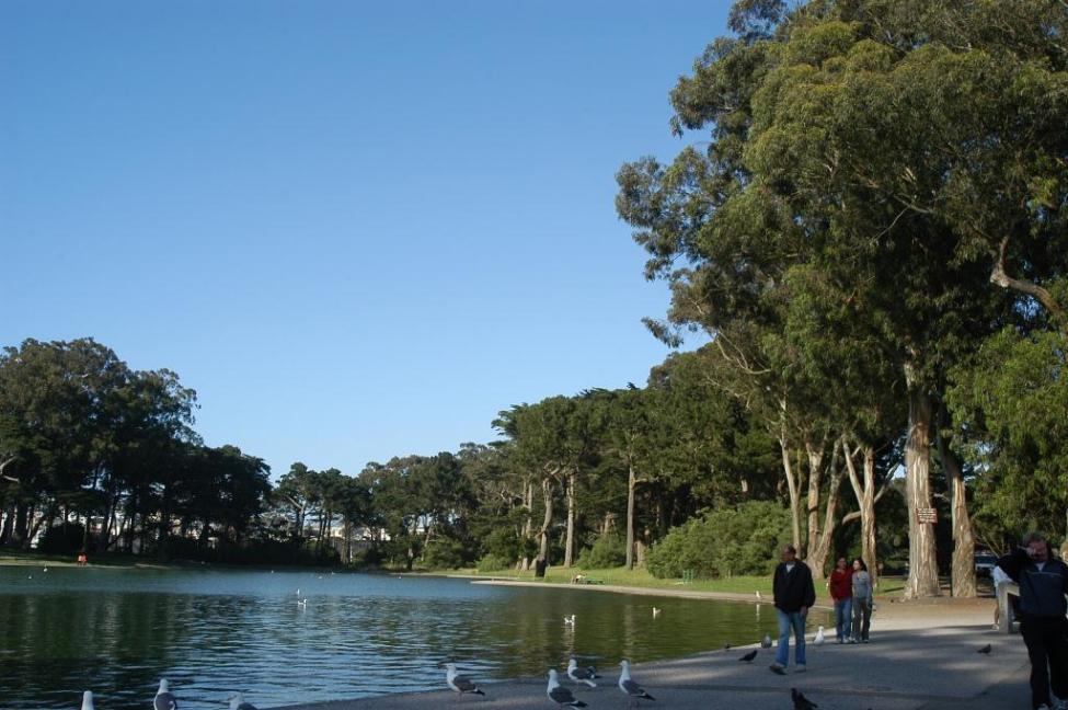 Filming at Golden Gate Park Spreckels Lake Filmapia real sites